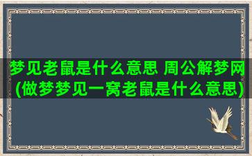 梦见老鼠是什么意思 周公解梦网(做梦梦见一窝老鼠是什么意思)